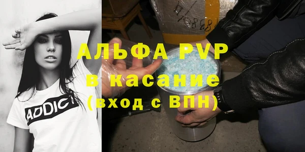ГАЛЛЮЦИНОГЕННЫЕ ГРИБЫ Корсаков