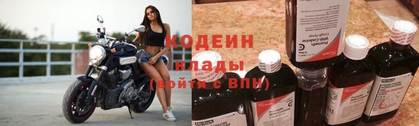 ГАЛЛЮЦИНОГЕННЫЕ ГРИБЫ Корсаков