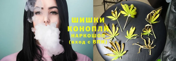 ГАЛЛЮЦИНОГЕННЫЕ ГРИБЫ Корсаков