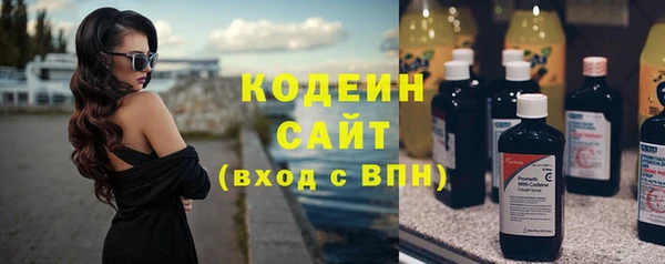 ГАЛЛЮЦИНОГЕННЫЕ ГРИБЫ Корсаков