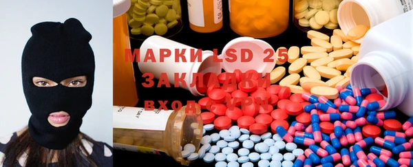 ГАЛЛЮЦИНОГЕННЫЕ ГРИБЫ Корсаков