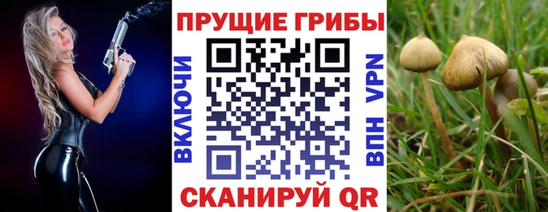 Купить где  Вуктыл  Галлюциногенные грибы Magic Shrooms 