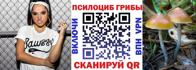 Галлюциногенные грибы GOLDEN TEACHER Вуктыл